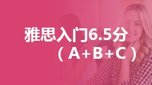 雅思入门6.5分（A+B+C）