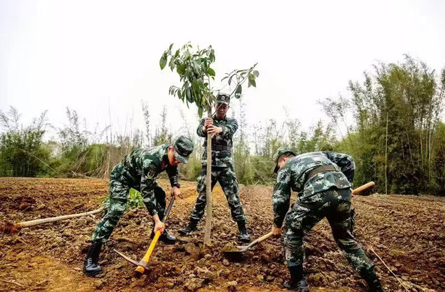 春华青少年素质教育