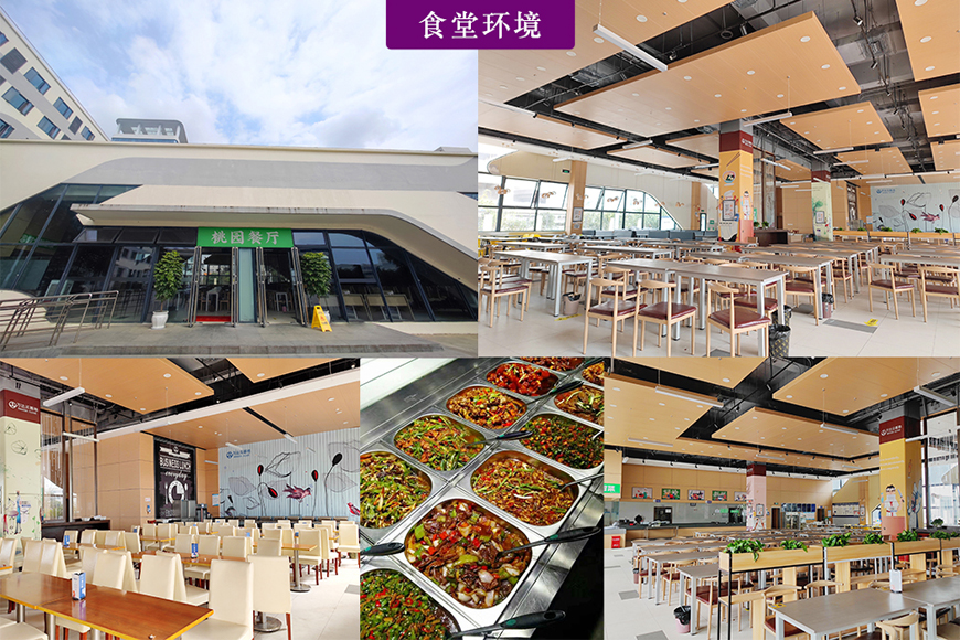 智得教育食堂环境