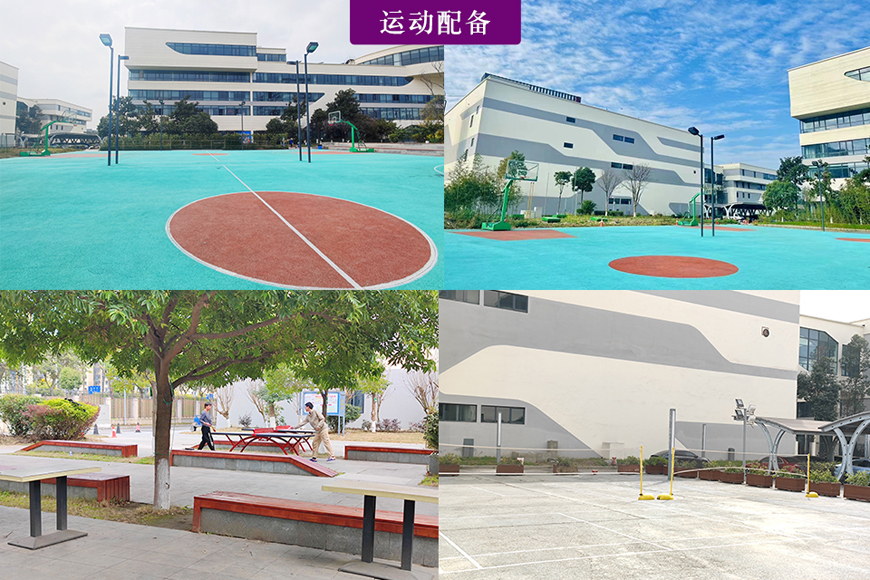 智得教育运动配备